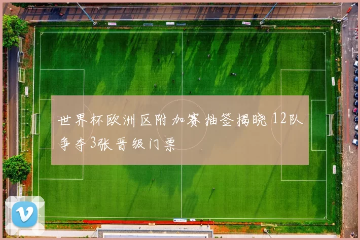 世界杯欧洲区附加赛抽签揭晓 12队争夺3张晋级门票