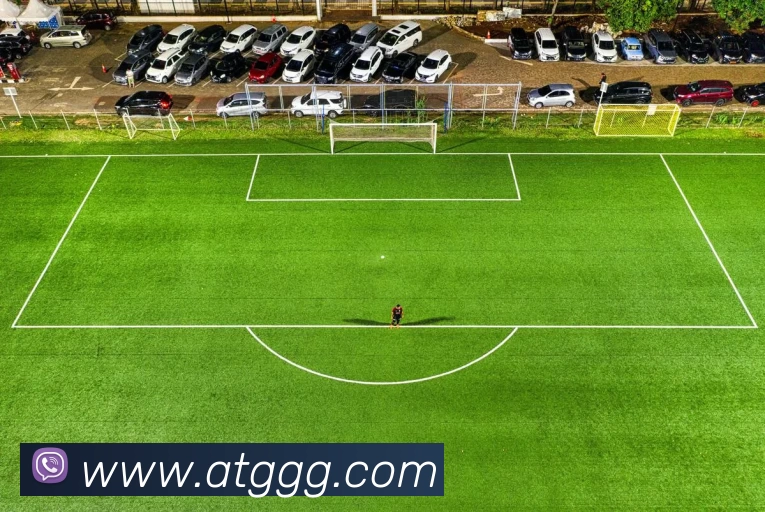 开云(中国)Kaiyun官方网站 - 登录入口APP 体育赛事宣传图